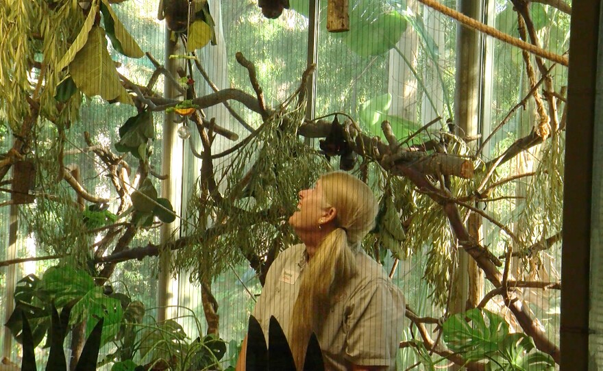 Donna Kent at the Flying Foxes exhibit at Safari Park. Oct. 22, 2025