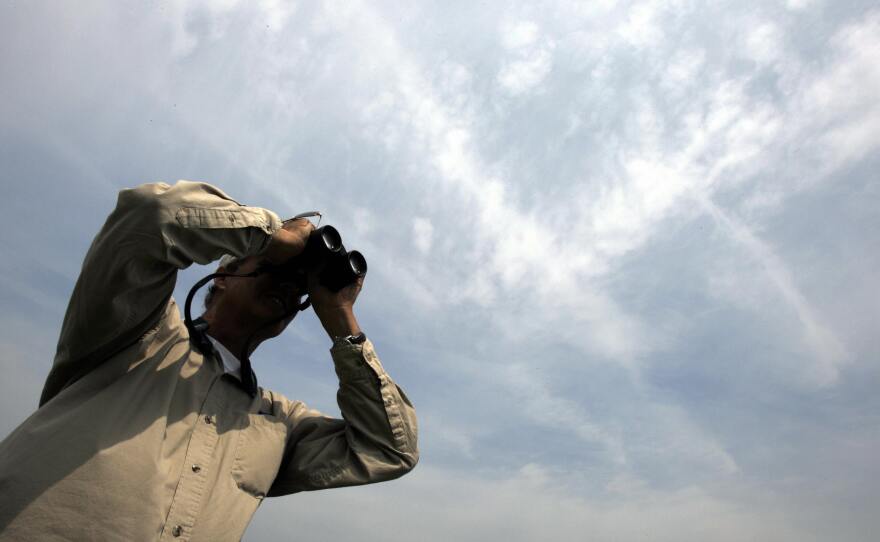 Pete Dunne uses binoculars during the World Series of Birding in an estuary in Cape May in 2007. He founded the event in 1984.