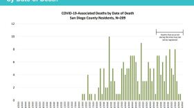 This graph shows the number of COVID-19 associated deaths by day in San Diego County.
