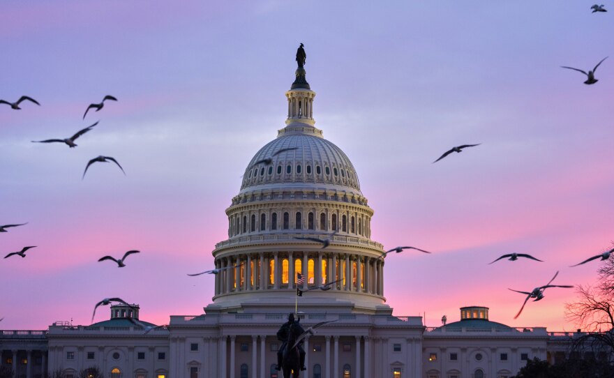 Birds fly by as the sun rises behind the U.S. Capitol on March 18, 2026.