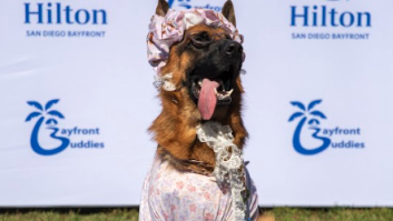 Hilton San Diego Bayfront’s BooFront Pet Costume Contest