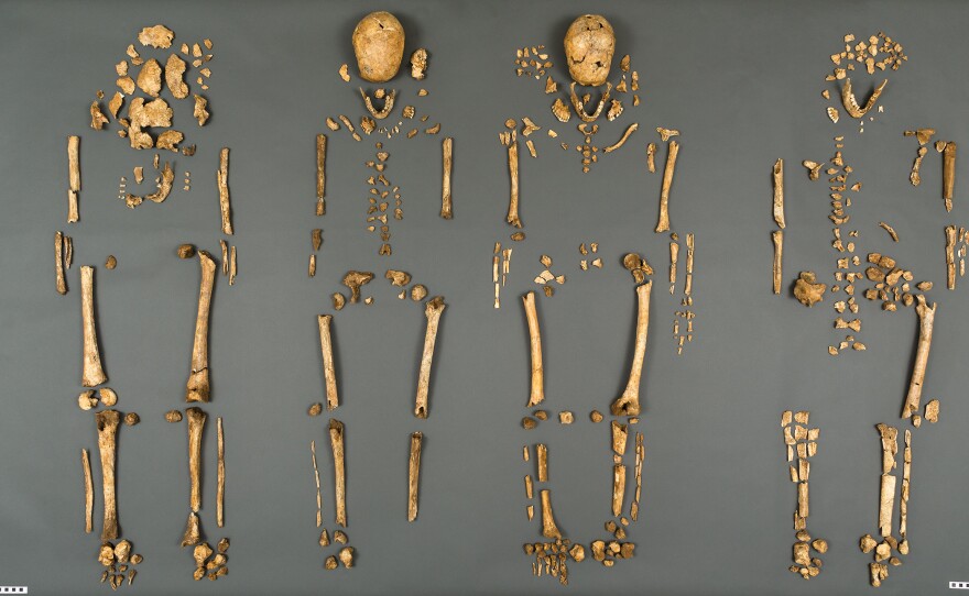 A team of scientists from the Smithsonian's National Museum of Natural History and Jamestown Rediscovery announced the identities Tuesday of the Rev. Robert Hunt, Capt. Gabriel Archer, Sir Ferdinando Wainman and Capt. William West. The long-dead men were leaders who helped shape the future of America during the initial phase of the Jamestown settlement in the early 1600s.