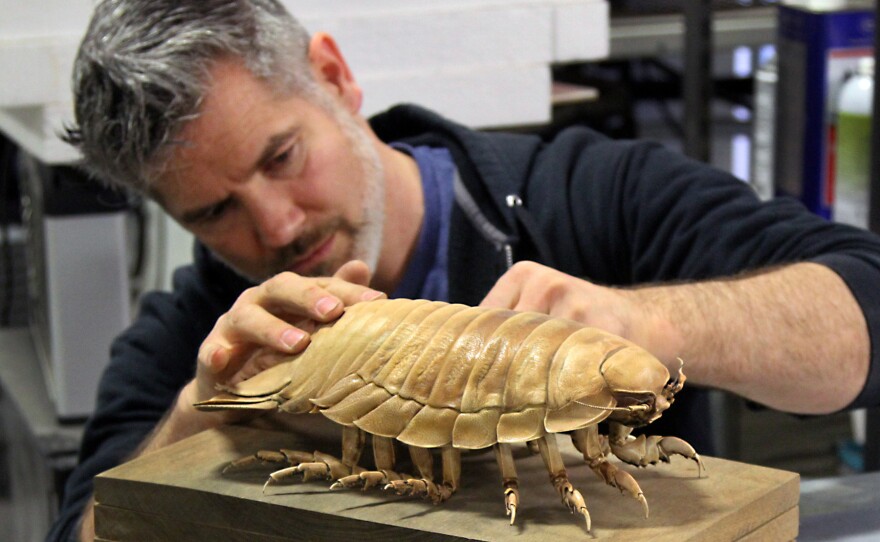 Marley works on a frozen isopod at his Oregon studio.