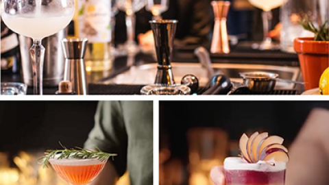 Sip & Spin Mixology Experience