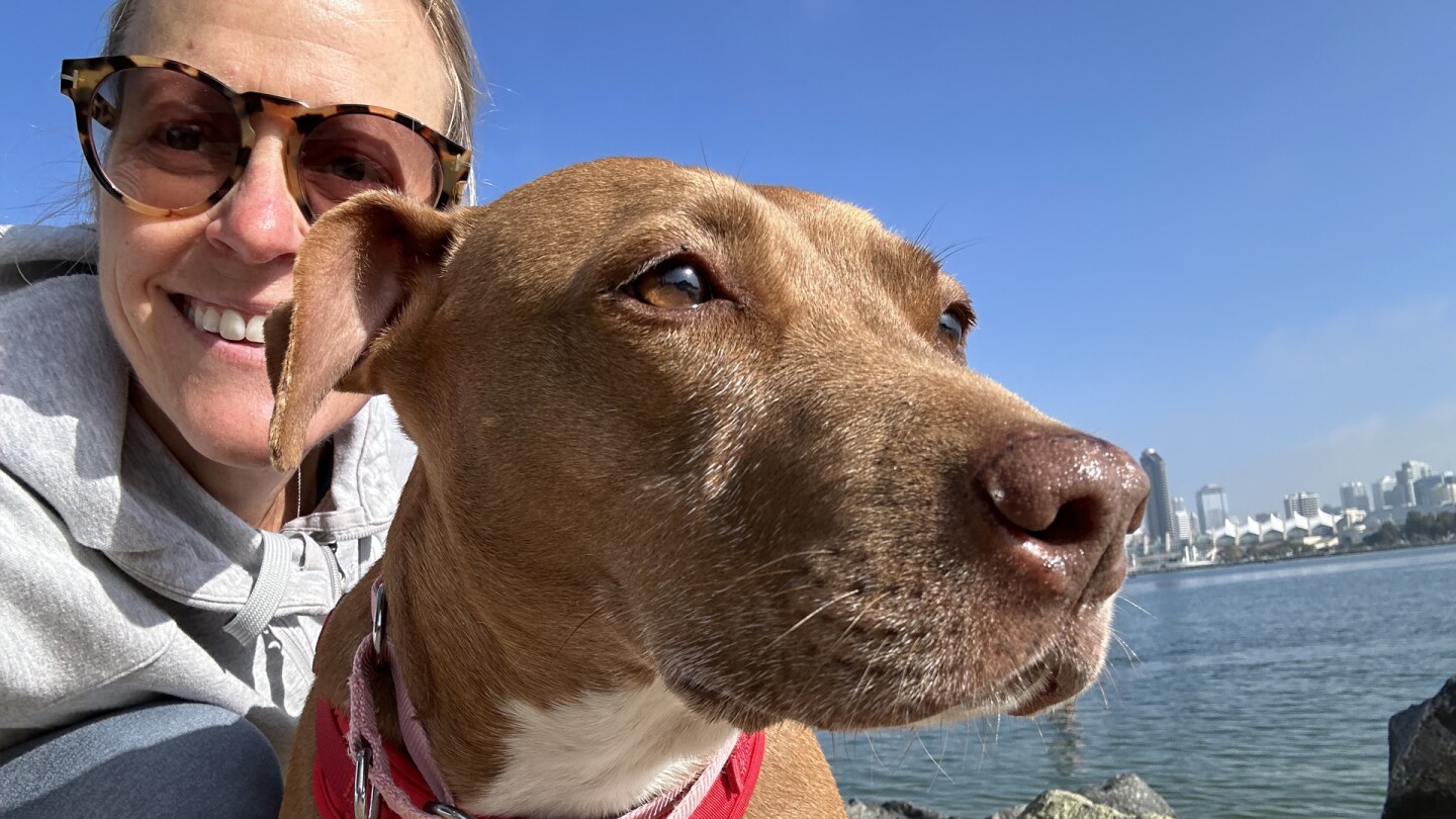 Happy Valentine’s Day to our sweet Chica by Nina Thompson Love wasn’t planned, but it found us the day we brought you home. Two years ago, we thought we were just giving you temporary refuge from the overwhelming shelter. You were frail, trembling and carrying the weight of a past that had left you afraid. But those deep brown eyes — full of sorrow and hope — looked right into my soul, and something shifted. We told ourselves it was temporary, just a short-term commitment to help San Diego Humane Society during a difficult time. We had just lost our beloved dogs, and our hearts felt too shattered to open again. We weren’t ready to love another. But then, Chica, you changed everything. The moment you curled up in our home, hesitant but willing to trust just a little, we knew. You were never going back. It took months for you to believe that love was real. Months to step outside without fear. Months to realize that you were safe, truly safe. We were patient. We walked at your pace, let you discover the world on your terms. And now, you are not just our dog — you are our heart. Our best friend. Our family. Chica, you mean the world to us. We will spend every day making sure you know how loved, cherished and safe you are. You may not have started with us, but you are exactly where you were always meant to be. Happy Valentine’s Day, our sweet, beautiful girl. ❤️