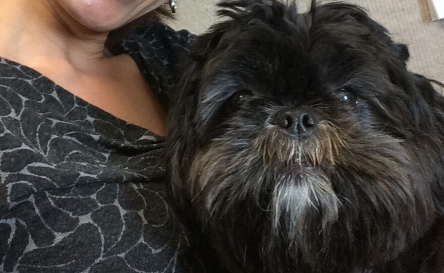 NPR congressional correspondent Ailsa Chang poses with her Shih Tzu, Mickey.