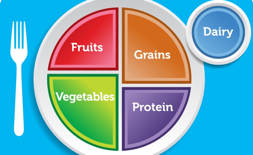 The MyPlate icon is the visual centerpiece of the USDA's advice for healthy eating aimed at the general public.