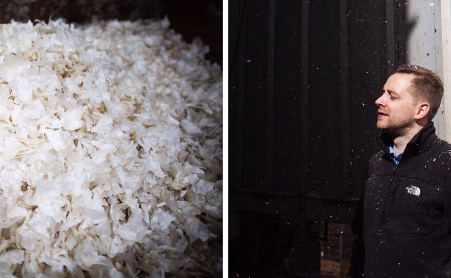 Garlic skins fall on operations manager Harald Vaernes (right) at the processing plant. The company had to pull garlic from storage to meet increased demand.
