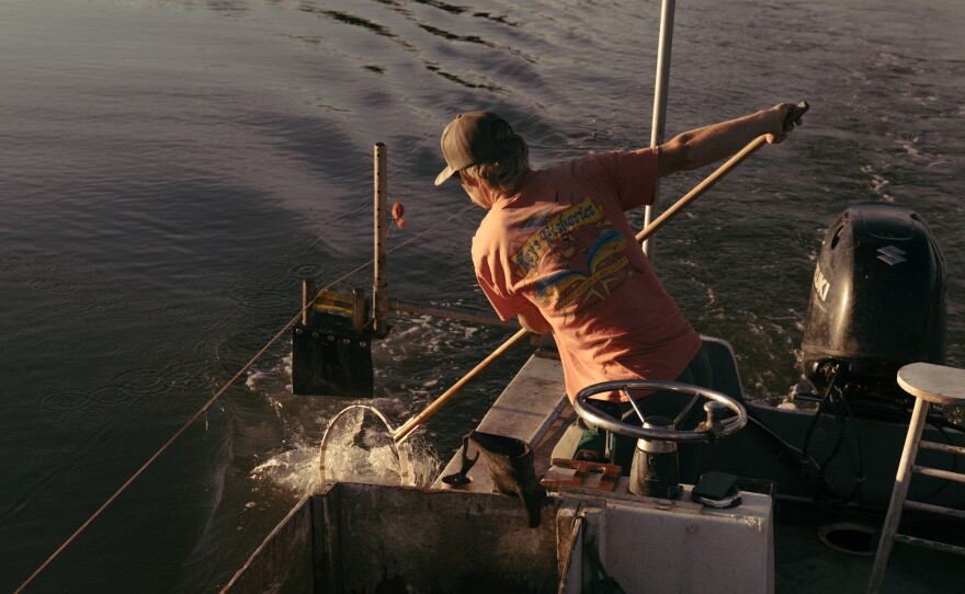 Jack Torney catches crabs one at a time with a metal, mesh net. The line, which is baited with razor clams, is called a trotline.