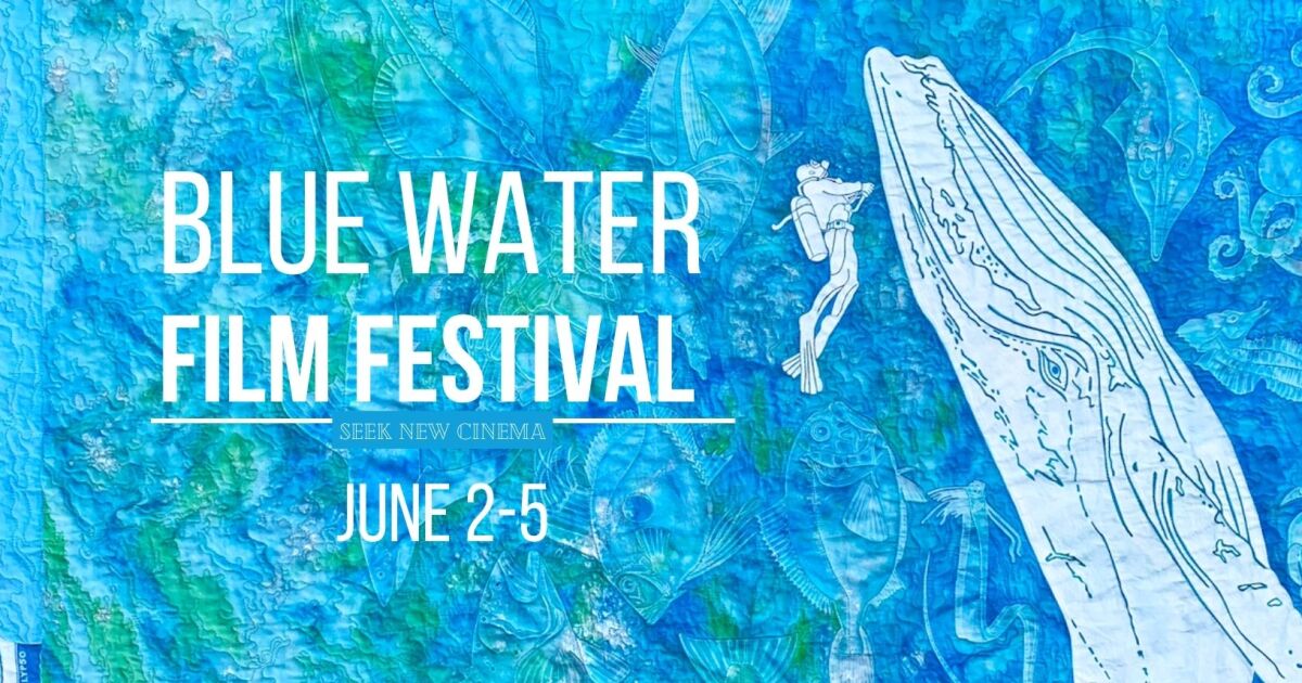 2025 Blue Water Festival KPBS Public Media
