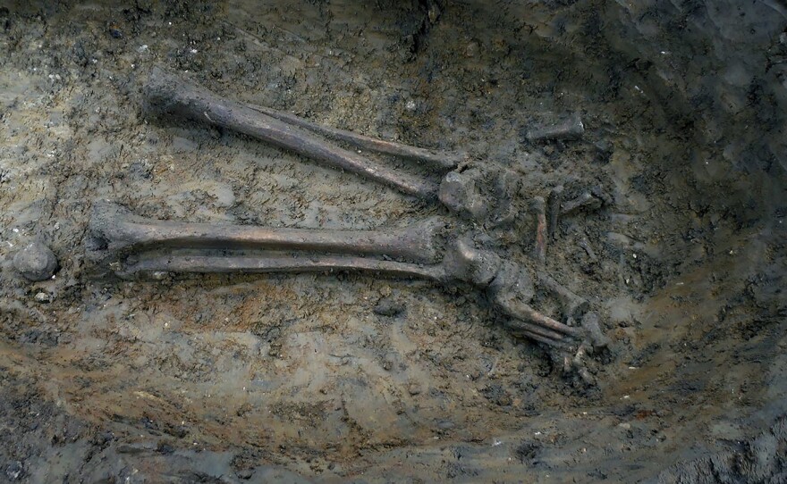 Skeleton discovery