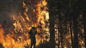 Firefighter A.J. Tevis watches the flames of the Rim fire near Yosemite National Park, Aug. 25, 2013.  