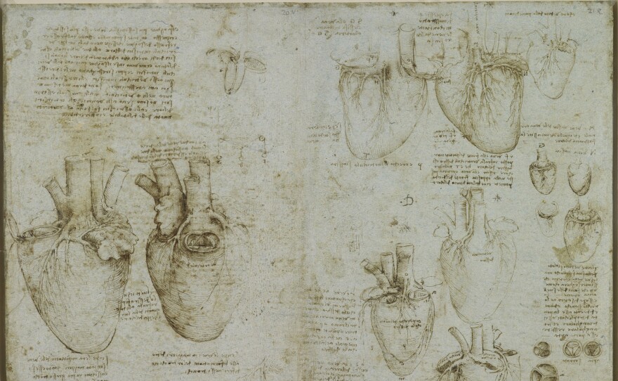 Drawings of a whole heart, probably of an ox, three diagrams demonstrating the function of the ventricles. Circa 1511-1513.