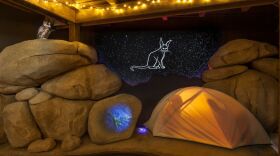 A theatrical multimedia presentation recreates a desert campsite under the stars
in Coast to Cactus.