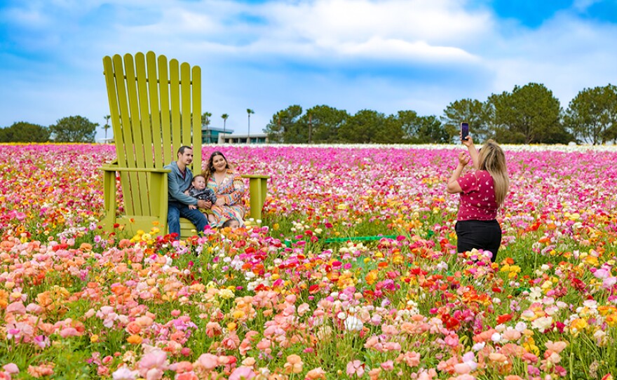 Mother's Day at The Flower Fields