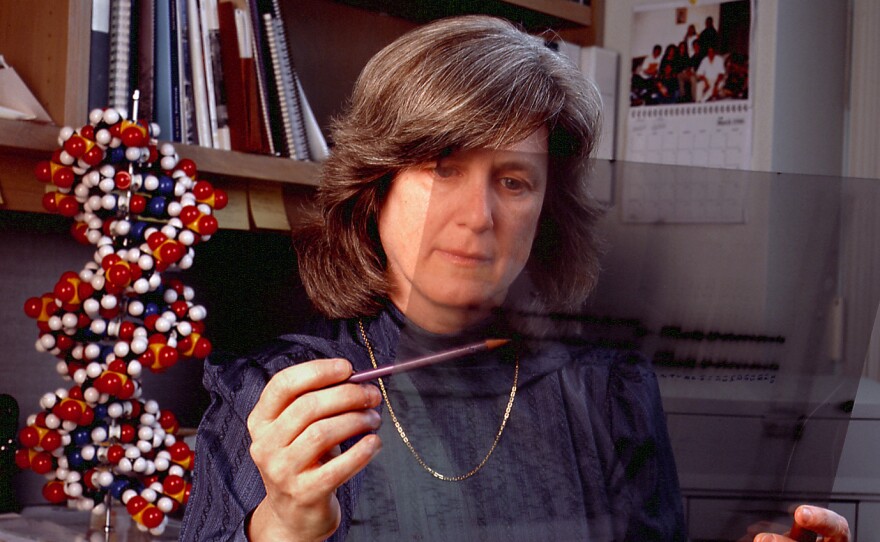 Mary-Claire King says obscurity gave her the freedom to spend years looking for breast cancer genes.
