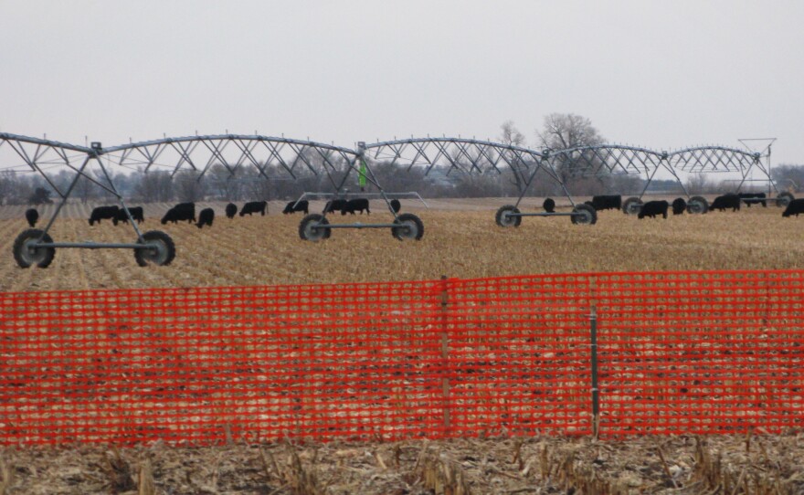 Nebraska, dotted with pastures and farmland, is at the heart of a legal battle that could help decide the fate of the Keystone XL pipeline. The state's Supreme Court is considering a legal challenge to the project's proposed route.