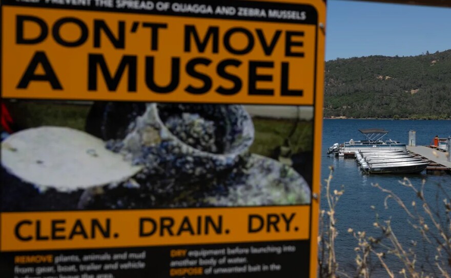 A sign warns visitors about quagga and zebra mussels, but not golden mussels, at Collins Lake in Browns Valley. Collins Lake does not have an inspection station for golden mussels.