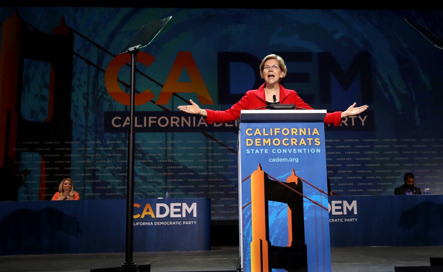 Sen. Elizabeth Warren, D-Mass., speaks during the California Democrats 2019 State Convention in San Francisco on June 1, 2019. "Big problems call for big solutions," said Warren, in a speech warning against incrementalism.