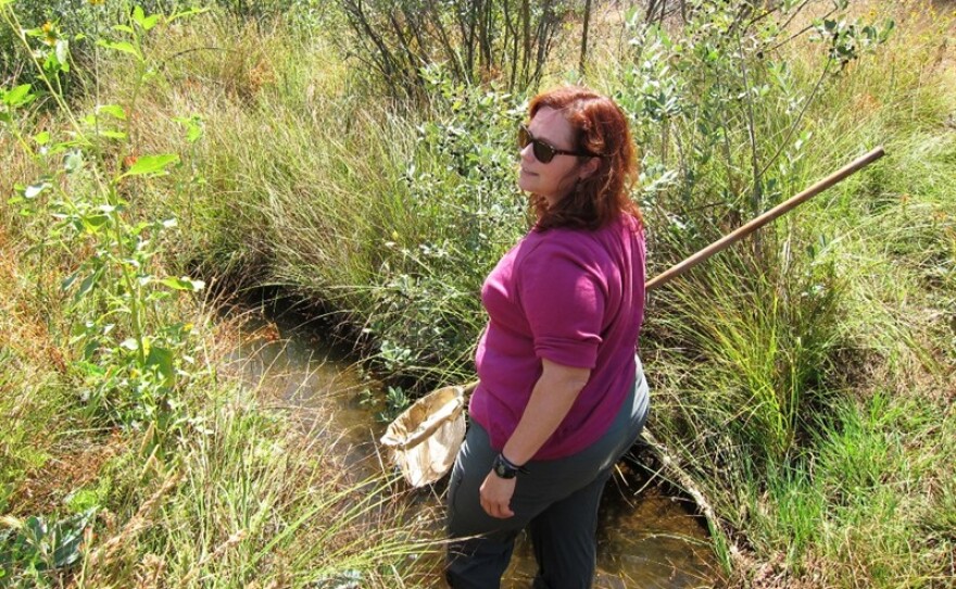 Rebecca Quinones walks through thick brush in the Red Hills Mountain range of Tuolumne County, April 2014.