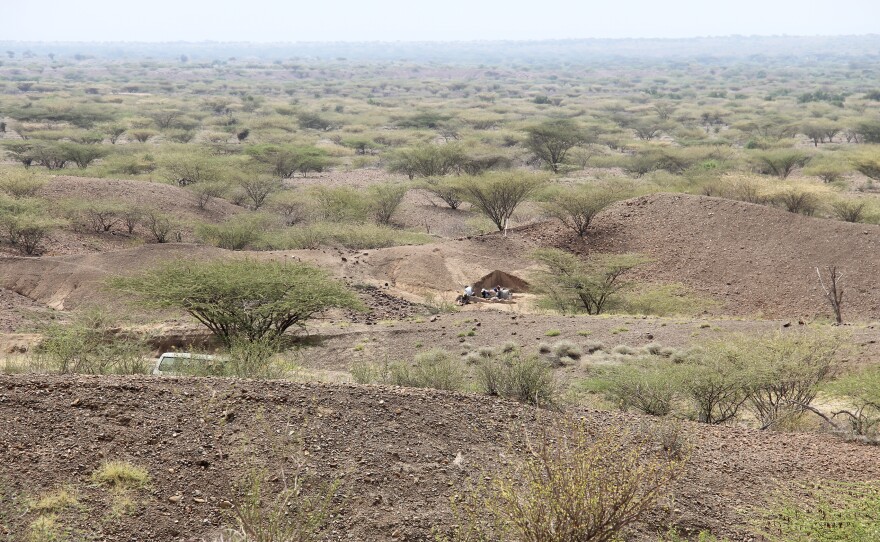 View of the excavation site near Lake Turkana.