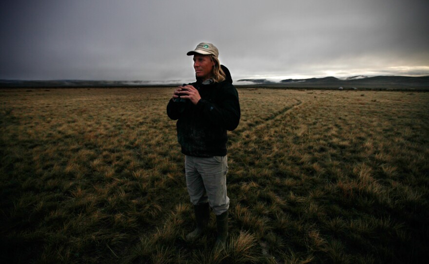 Ecologist Korb scouts a sage grouse lek, a highly stylized mating ritual, at dawn in the Centennial Valley.