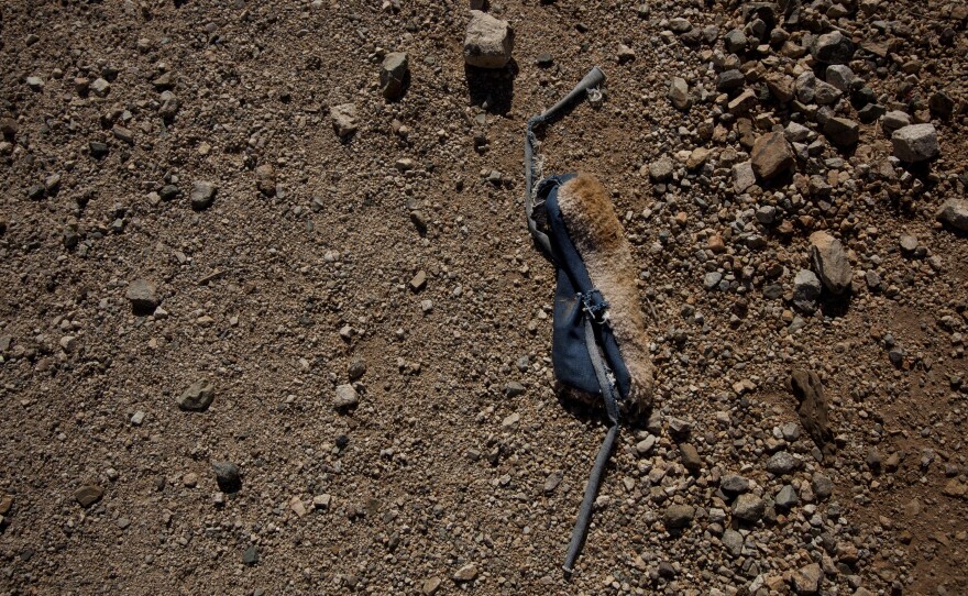 Carpet shoes leave subtle tracks in the desert.