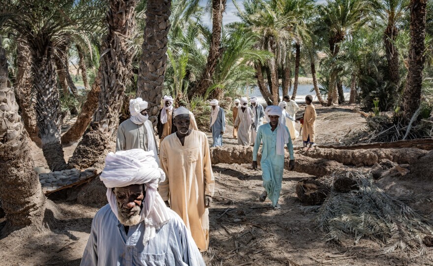 Village chief Issa Ousmane Tcharaba walks with village elders through the oasis of Barkadroussou in Kanem province, Chad. The oasis has benefited from support by the Great Green Wall Initiative, stabilizing the dunes that threaten to swamp the oasis as well as installing a borehole and providing seeds and technical assistance.