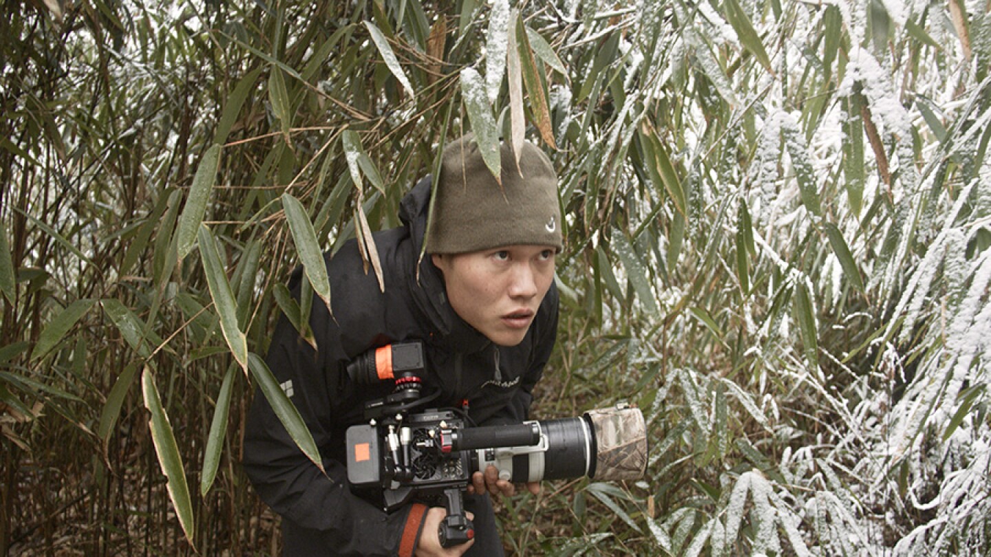 Filmmaker Jacky Poon on the search for a wild panda.