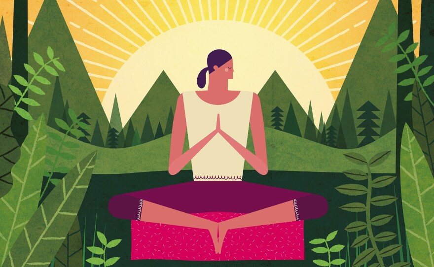 "There's a kind of a bridge between cognitive therapy and Buddhist practice in evolutionary psychology," says author Robert Wright.