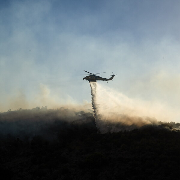 Federal Wildland Firefighting Efforts Consolidated Under New Service, Strategy Shift Sparks Debate