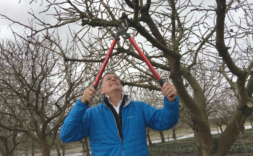 Tom Coleman, who manages more than 8,000 acres of pistachio trees across California, is worried that warmer temperatures will affect his crops.
