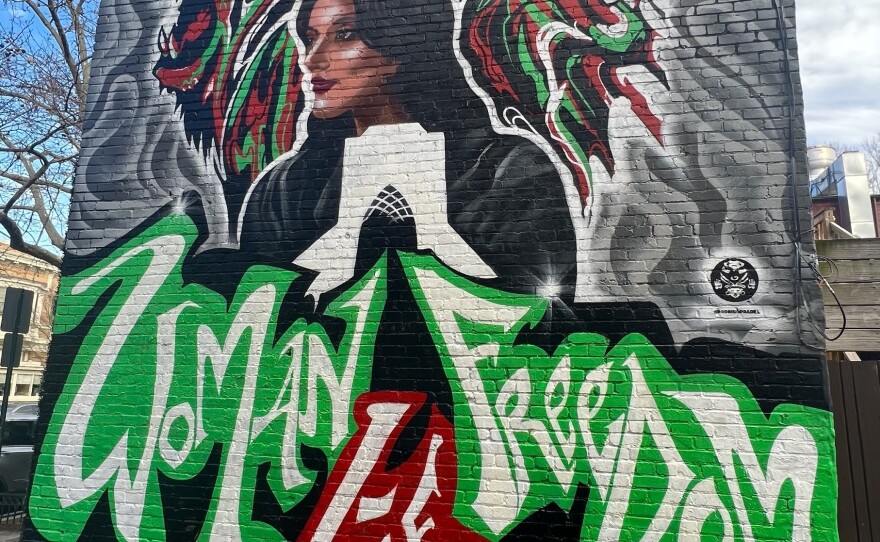 Mahsa Amini peers out from a mural by Rodrigo Pradel that covers an entire building side in a Washington, D.C. alley. Amini's death in police custody in Iran last year led to protests and a revolutionary movement.