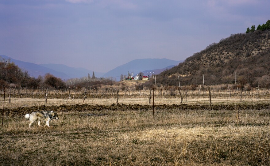 Georgians continue to farm the land in Odzisi, divided by a fence and surrounded on three sides by Russian-controlled territory. The building at center is a Russian checkpoint.