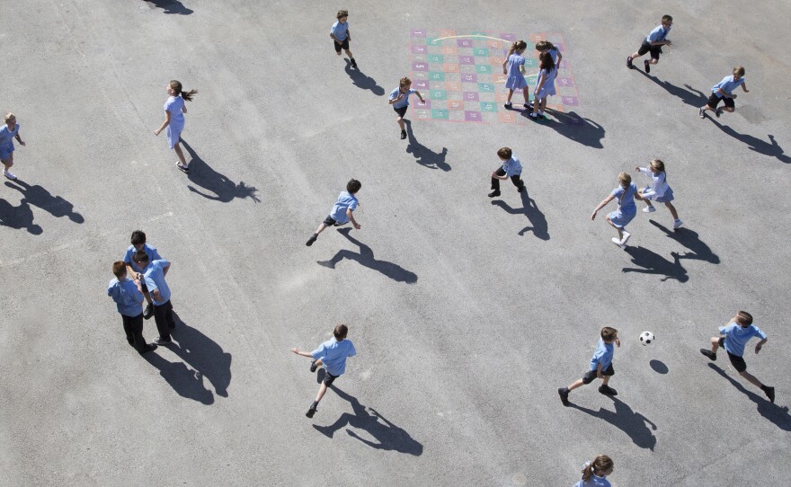 Research suggests that kids tend to get infected with the coronavirus less often, and have milder symptoms than adults. There's less consensus on how much kids can spread the illness.