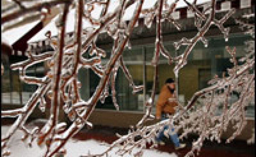 Ice covers the branches of a tree in Des Moines, Iowa after a massive ice storm hit the Midwest this week.