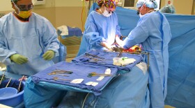 As a scrub nurse gets the instruments ready, surgeons Andrew Lowy and Hanna Copeland probe James Vanderpool's abdomen for signs of cancer. When they find it, they cut it out.