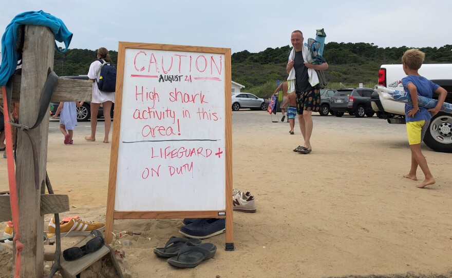 A sign warns beachgoers about sharks in the water at Newcomb Hollow Beach in Wellfleet, Mass.