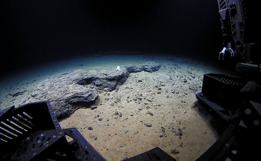 The remotely operated vehicle Deep Discoverer approaches the unknown octopod at 4,290 meters under the ocean's surface.