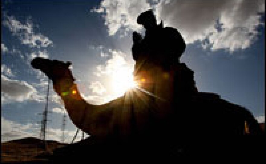 An Egyptian policeman on a camel uses his mobile phone during the 11th Pan Arab Games in Cairo in 2007.