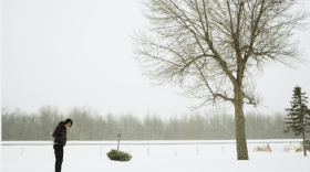 Paul Dano stars as a struggling musician, figuring out his role as a father, in Sundance hit "For Ellen."