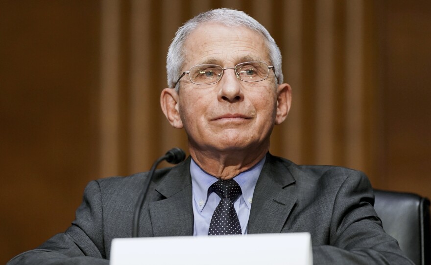 Dr. Anthony Fauci, director of the National Institute of Allergy and Infectious Diseases, testifies during a hearing at the U.S. Capitol earlier this month.