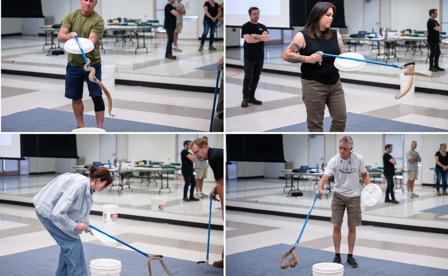 Phoenix Herpetological Society rattlesnake class attendees hold a Western Diamondback Rattlesnake with snake tongs at the Florence Ely Nelson Desert Park in Scottsdale, Arizona.