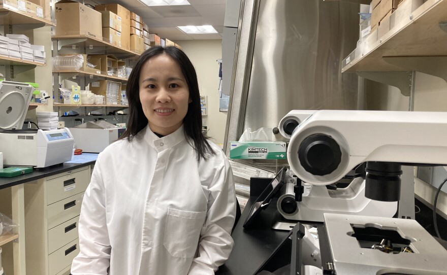 Meiyan Wang is a neuroscientist and a postdoctoral fellow at the Salk Institute stands in the Institute's cell culture lab. March 4, 2024.