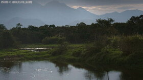 Photo of rainforest in Brazil. FRONTLINE/World journeys to the remote rainforests of Brazil, where several American companies have been on the hunt for an increasingly valuable new commodity -- carbon. But investing in big tracts of forest in order to soak up the carbon they may have to account for in proposed energy legislation is not without its costs.