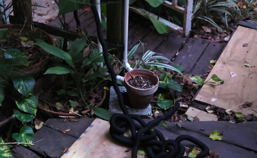 On days when low pressure delivers water to only the first floor, residents of upper floors have permission to fill their jugs from Palacios' garden hose.