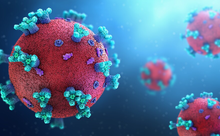 Researchers are making progress in understanding the human immune response to the SARS-CoV-2 virus and the vaccine to prevent COVID-19.