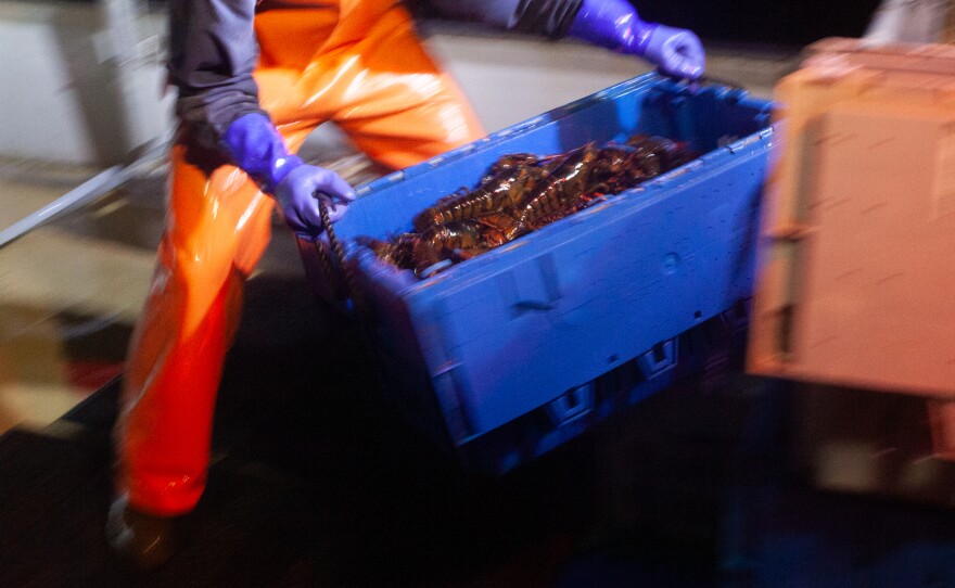Federal officials say pop-up gear technology being piloted in the lobster industry could lead the way for other fisheries around the world that risk entangling whales.