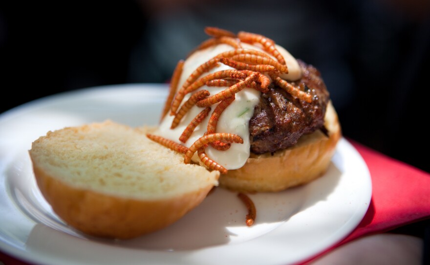 A Grasshopper Burger topped with Mexican spice mealworms.