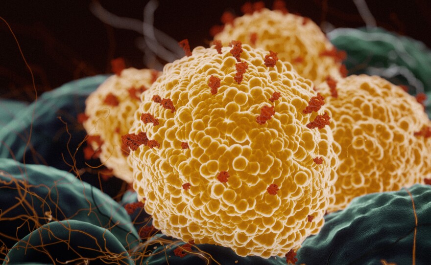 Researchers at the University of Texas Medical Branch are helping to test the Pfizer-BioNTech COVID-19 vaccine against coronavirus variants.